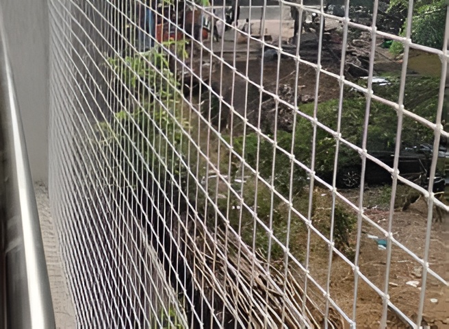 Dk Bird Net Service Image